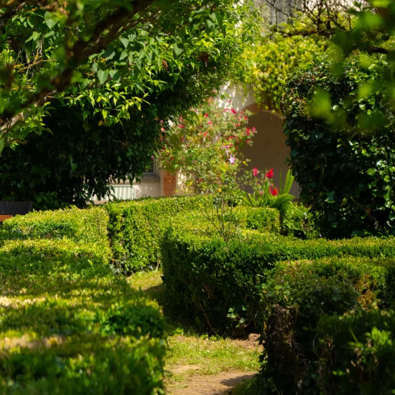 ambiance romantique occitanie