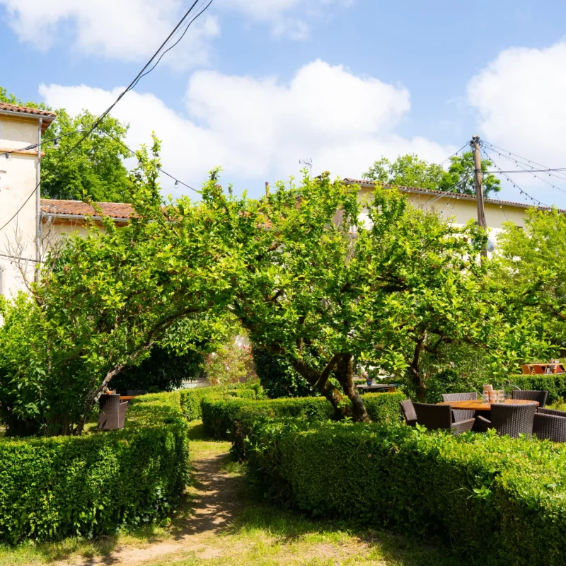 domaine un ete a la campagne